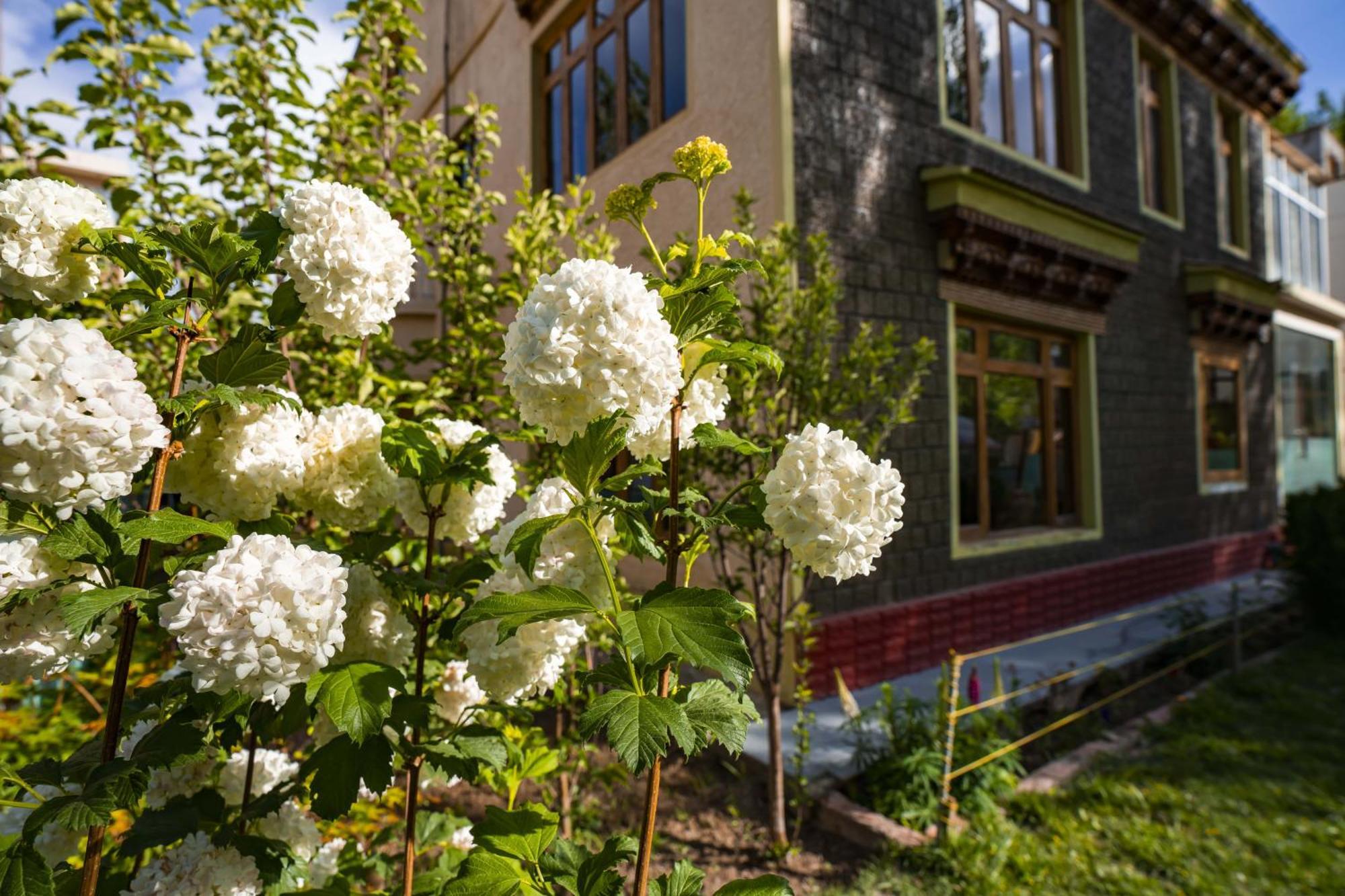 Rainbow Holiday Home เลห์ ภายนอก รูปภาพ